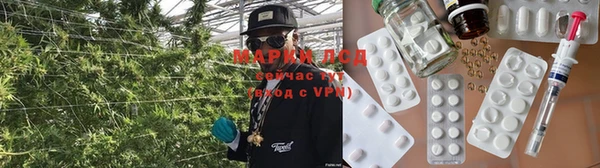 гашик Абинск