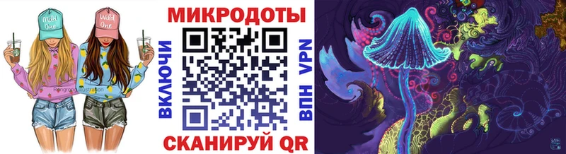 Галлюциногенные грибы Psilocybine cubensis  Талдом 